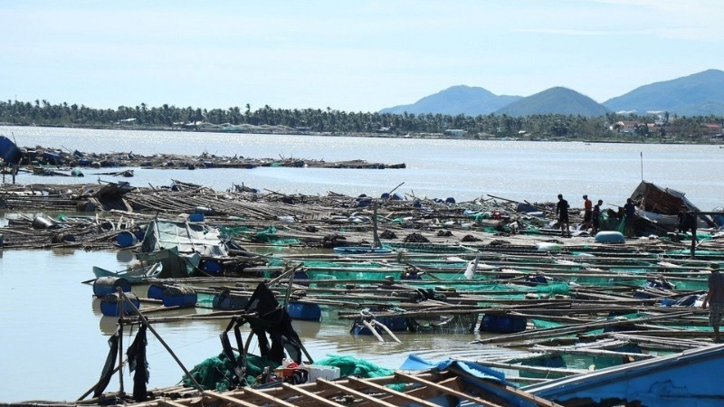Fish cages severely damaged by storm No. 13.