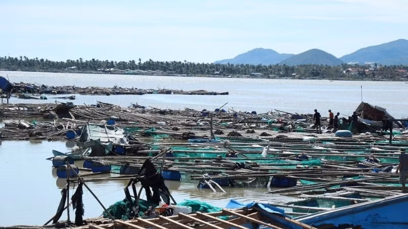 Fish cages severely damaged by storm No. 13.