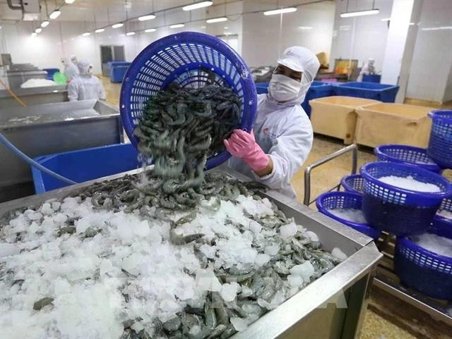 A shrimp processing factory in Ca Mau province (Photo: VNA)
