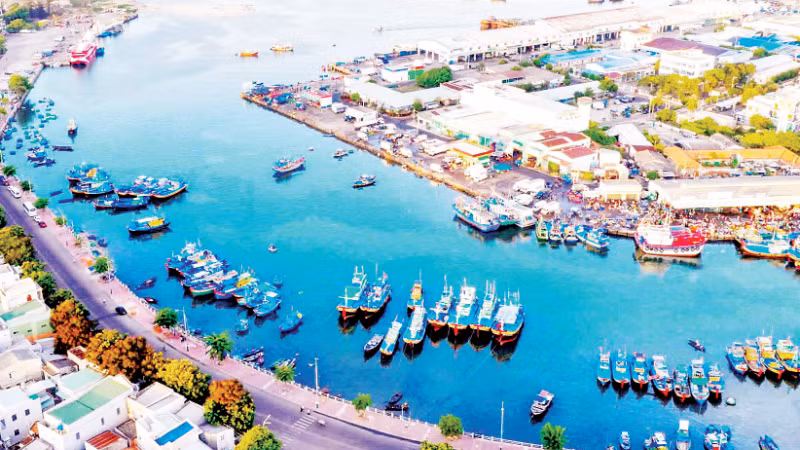 The southeast of Lam Dong serves as a gateway to the sea, boasting strengths in renewable energy development and logistics.