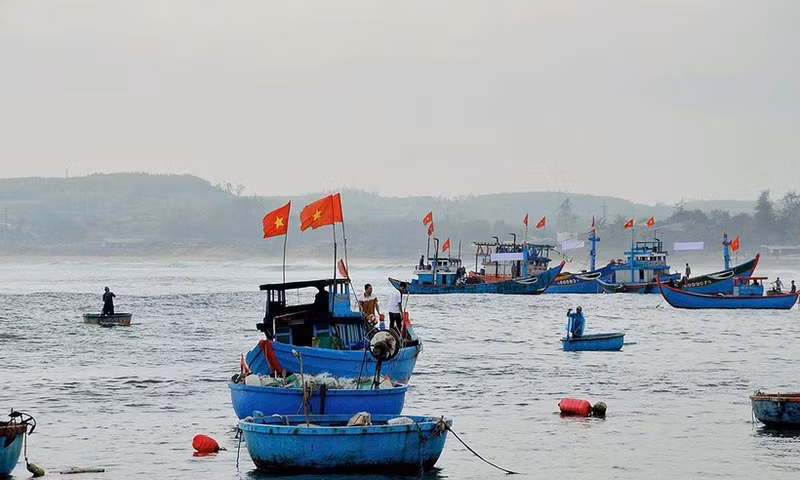 Fishermen in Quang Ngai go offshore, strictly following anti-IUU fishing regulations. (Photo: LUU HUONG)