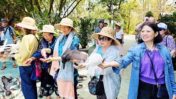 Eco-friendly trips attract tourists. Photo: NAM NGUYEN