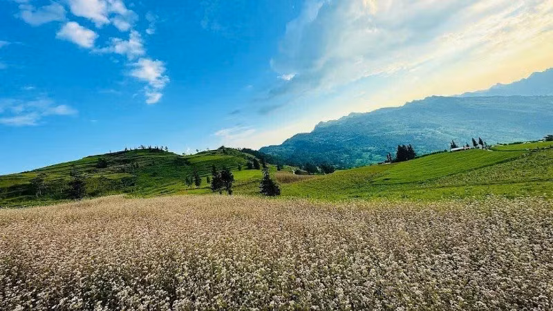 The buckwheat flower season and the province's pristine, majestic landscapes attract visitors to Tuyen Quang Province.