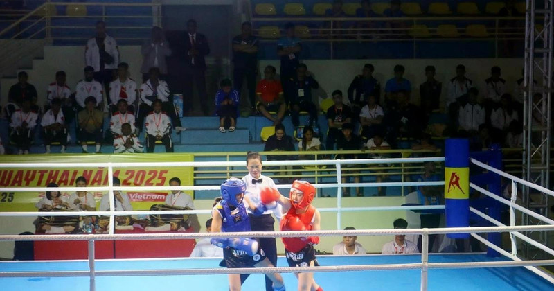 Athletes compete in 28 combat weight categories and eight performance categories (Photo: VNA)