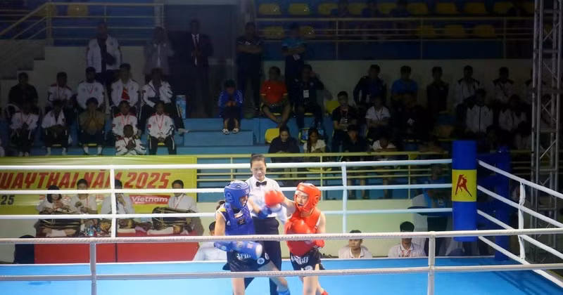 Athletes compete in 28 combat weight categories and eight performance categories (Photo: VNA)