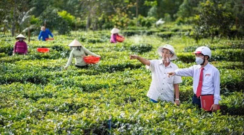 The role of green credit in agriculture promoted.