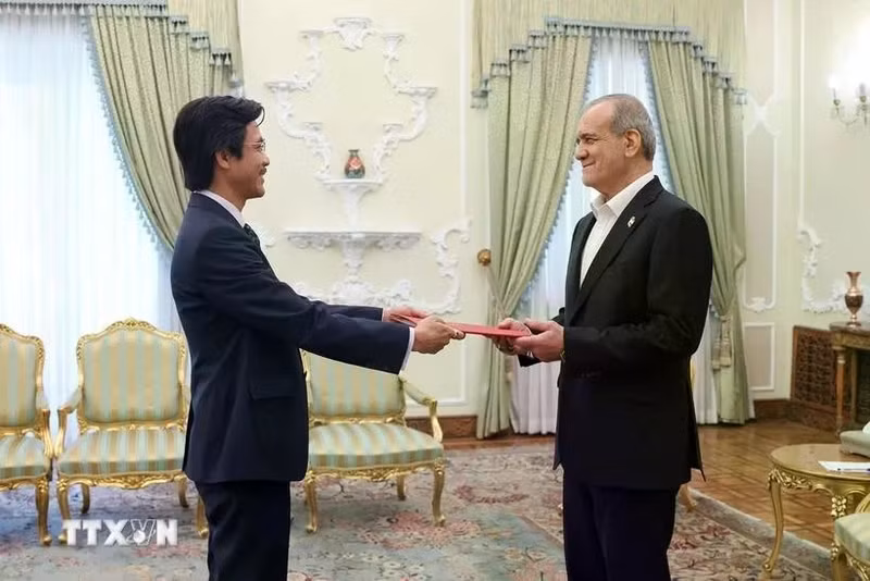 Vietnamese Ambassador Nguyen Luong Ngoc presents his credentials to Iranian President Masoud Pezeshkian in Tehran on June 3 (Photo: VNA)