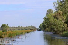 Tram Chim National Park takes on a new look during the flood season.
