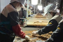 Spice production for export. (Photo: nhandan.vn)