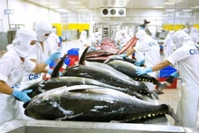 Seafood processing for export.