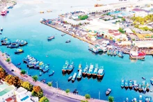 The southeast of Lam Dong serves as a gateway to the sea, boasting strengths in renewable energy development and logistics.