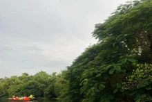 Co Island Ecotourism Site, Hai Phong