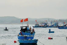 Fishermen in Quang Ngai go offshore, strictly following anti-IUU fishing regulations. (Photo: LUU HUONG)