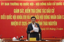 General Phan Van Giang speaks at the supervision and inspection session. (Photo: TUAN SON)