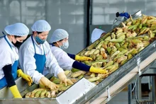 In the first two months of 2026, exports of agricultural, forestry, and fishery products reached 11.3 billion USD, up 17.1% year on year.