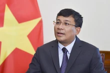 Deputy Minister of Foreign Affairs Nguyen Minh Vu. (Photo: VNA)