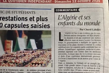 Algerian media reports highlight strong interest in Viet Nam’s policies on mobilising overseas Vietnamese resources for national development (Photo: VNA)