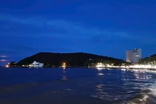 AI opens a new direction for marine biodiversity conservation.