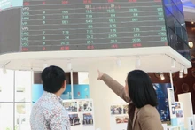 Investors monitor stock market movements at the Ho Chi Minh City Stock Exchange (HOSE). (Photo: VNA)
