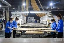 Vietnamese enterprises urgently need the support of a comprehensive ecosystem to gain the strength required to reach the global market. (Illustrative photo: THANH DAT)