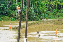 EVNCPC has mobilised maximum manpower, vehicles, and materials to restore power as quickly as possible.