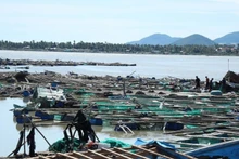 Fish cages severely damaged by storm No. 13.