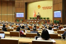 Illustrative image (Source: nhandan.vn)