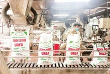 Urea production at Dam Ninh Binh Company Limited under the Viet Nam National Chemical Group.