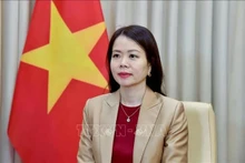 Deputy Minister of Foreign Affairs Nguyen Minh Hang (Photo published by VNA)