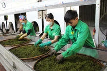 Domestic market — a “launchpad” to accelerate Vietnamese goods