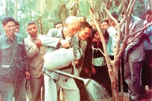 The banyan tree President Ho Chi Minh last planted in Vat Lai Commune, Ba Vi District, Ha Tay Province (now Ha Noi) on February 16, 1969, still spreads its shade today. (File photo)