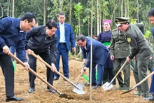 [In Photos] State President attends launch ceremony of tree planting festival in Lao Cai Province