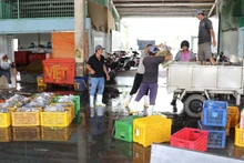During the fishing season, the Vam Lang fishing port in Dong Thap province provides employment for a large number of local workers. (Photo: VNA)