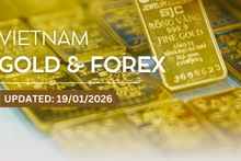 Infographic: Domestic and global gold prices surge to new record highs on January 19