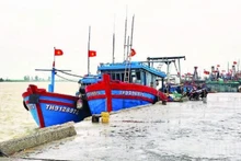 Stepping up efforts to lift IUU “yellow card”: Accelerated, coordinated and resolute actions from central to local levels