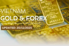 Infographic: SJC gold prices drop sharply on November 20