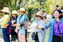 Eco-friendly trips attract tourists. Photo: NAM NGUYEN