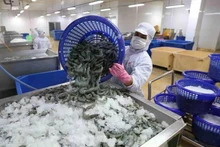 A shrimp processing factory in Ca Mau province (Photo: VNA)