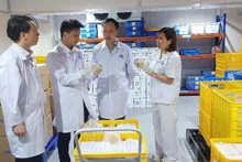 CEO Nguyen Van Diep inspects the AVAC ASF LIVE vaccine batch prepared for export.