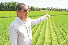 Agronomist-engineer Ho Quang Cua in a field of ST25 rice variety. (Photo: NGUYEN THANH PHONG)