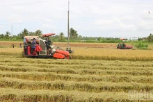 Locality boosts green, clean, environmentally friendly agricultural production