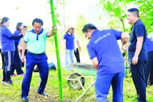 Tang Huu Thuy, Party Secretary and Director of the Centre for Dormitory and Urban Area Management of Viet Nam National University, Ho Chi Minh City, along with staff, lecturers and students, participated in planting bamboo activities.