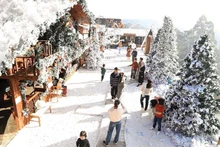People enjoy the Christmas atmosphere in Da Lat. (Photo: baodautu.vn)