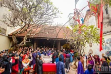 Tourists are delighted to witness the New Year’s pole-raising ceremony at Kim Ngan Temple during Tet 2025. (Photo: THE DAI)