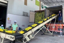 Export rice packaging line of Trung An High-Tech Agriculture Joint Stock Company, Can Tho City. (Photo: MINH ANH)