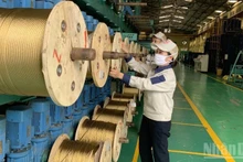 Industrial production shows clear bright spots. (Photo: HNV)