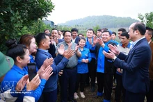 Prime Minister Pham Minh Chinh visits a macadamia cultivation model in Huoi Tao B village, Pu Nhi commune, Dien Bien province on March 8. (Photo: VNA)