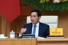 Deputy Prime Minister and Foreign Minister Bui Thanh Son (Photo: VNA)