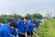 Bac Giang youths join hands to clean the environment and protect rural landscapes. (Photo: Bac Giang Provincial Youth Union)