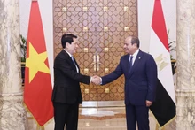 State President Luong Cuong (L) and Egyptian President Abdel Fattah El‑Sisi in Cairo on August 5. (Photo: VNA)